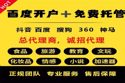 探索SEM优化托管的成功案例与策略